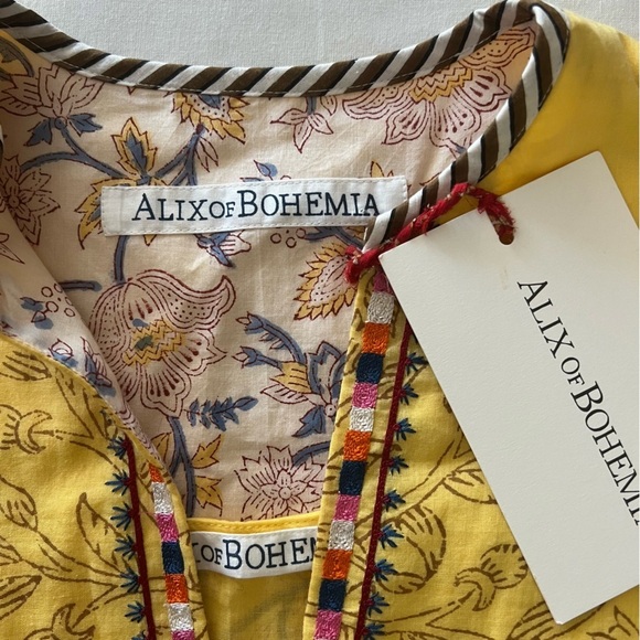 Alix of Bohemia Winifred Dress in Amber - Picture 11 of 16